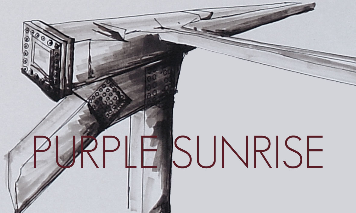 Purple Sunrise T